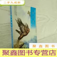 正 九成新椋鸠十动物小说 爱藏本03 生于天空