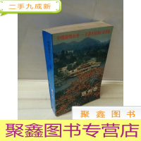 正 九成新中国国情丛书—百县市经济社会调查.惠州卷