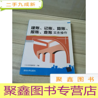 正 九成新建账、记账、算账、报账、查账实务操作