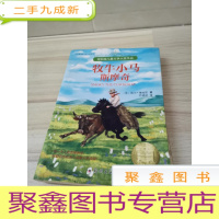 正 九成新牧牛小马斯摩奇