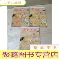 正 九成新塞外飞龙