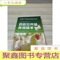 正 九成新鸡高效养殖关键技术