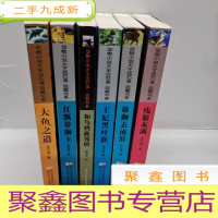 正 九成新动物小说大王沈石溪·品藏书系:大鱼之道 红飘带狮王 和乌鸦做邻居 王妃黑叶猴 雄狮去流浪 残狼灰满 6册