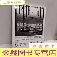 正 九成新数字黑白影像艺术:使用灰遮挡和加光