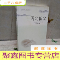 正 九成新西北偏北 梁积林