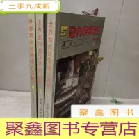 正 九成新世界室内装饰设计全集 678 3册合售