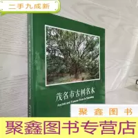 正 九成新茂名市古树名木