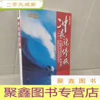 正 九成新安阳股市实战系列丛书 :冲浪涨停板