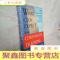 正 九成新What CEOs Expect from Corporate Training 16开