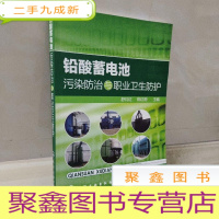 正 九成新铅酸蓄电池污染防治与职业卫生防护