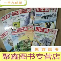 正 九成新小牛顿科学全知道 1-9册合售 缺4