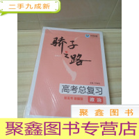 正 九成新骄子之路 2021高考总复习 政治