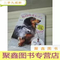 正 九成新盲目犬日文书
