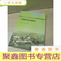 正 九成新小城镇饮用水处理技术