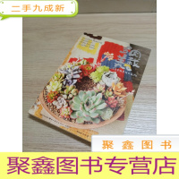 正 九成新多肉美栽:来自多肉星球的礼物