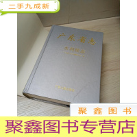 正 九成新广东省志.水利续志