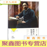 正 九成新契科夫短篇小说选