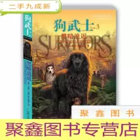 正 九成新狗武士3:黑暗迫近