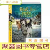 正 九成新狗武士2:诡影迷踪