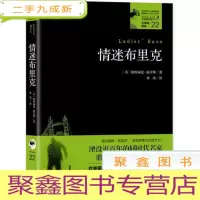 正 九成新情迷布里克