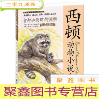 正 九成新西顿动物小说全集:吉尔达河畔的浣熊:彩绘拼音版