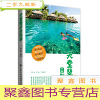 正 九成新天堂斐济自助游