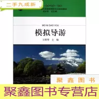 正 九成新模拟导游
