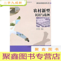 正 九成新农村新型民居与范例