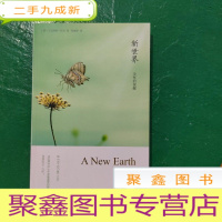 正 九成新新世界:灵性的觉醒