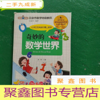 正 九成新奇妙的数学世界