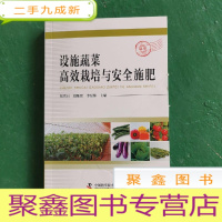 正 九成新设施蔬菜高效栽培与安全施肥