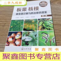 正 九成新板栗核桃病虫害诊断与防治