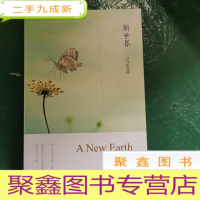 正 九成新新世界:灵性的觉醒