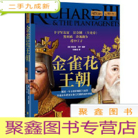 正 九成新萤火虫系列:金雀花王朝