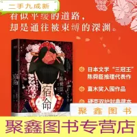 正 九成新长篇小说:宿命