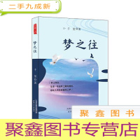 正 九成新梦之往