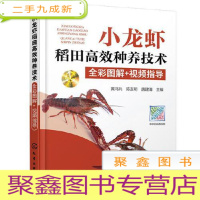 正 九成新小龙虾稻田高效种养技术