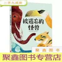 正 九成新被遗忘的怪兽