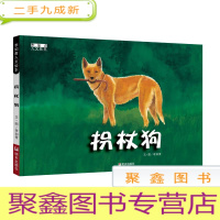 正 九成新[绘本]李如青人文绘本--拐杖狗