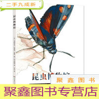 正 九成新(绘本)昆虫博物馆