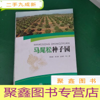 正 九成新马尾松种子园