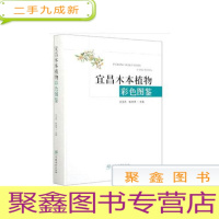 正 九成新宜昌木植物彩色图鉴
