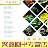 正 九成新中国沿海鱼类第1卷