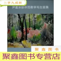 正 九成新尹星水彩师范教学写生画集