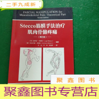 正 九成新Stecco筋膜手法治疗肌肉骨骼疼痛:第2版