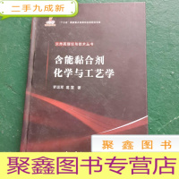 正 九成新含能黏合剂化学与工艺学