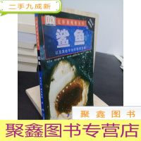 正 九成新鲨鱼:以及其他可怕的海洋生物