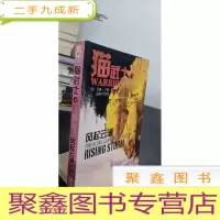正 九成新猫武士4-风起云涌