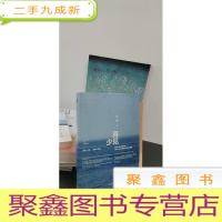 正 九成新再见,少年