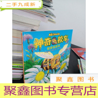 正 九成新奇妙的蜂巢